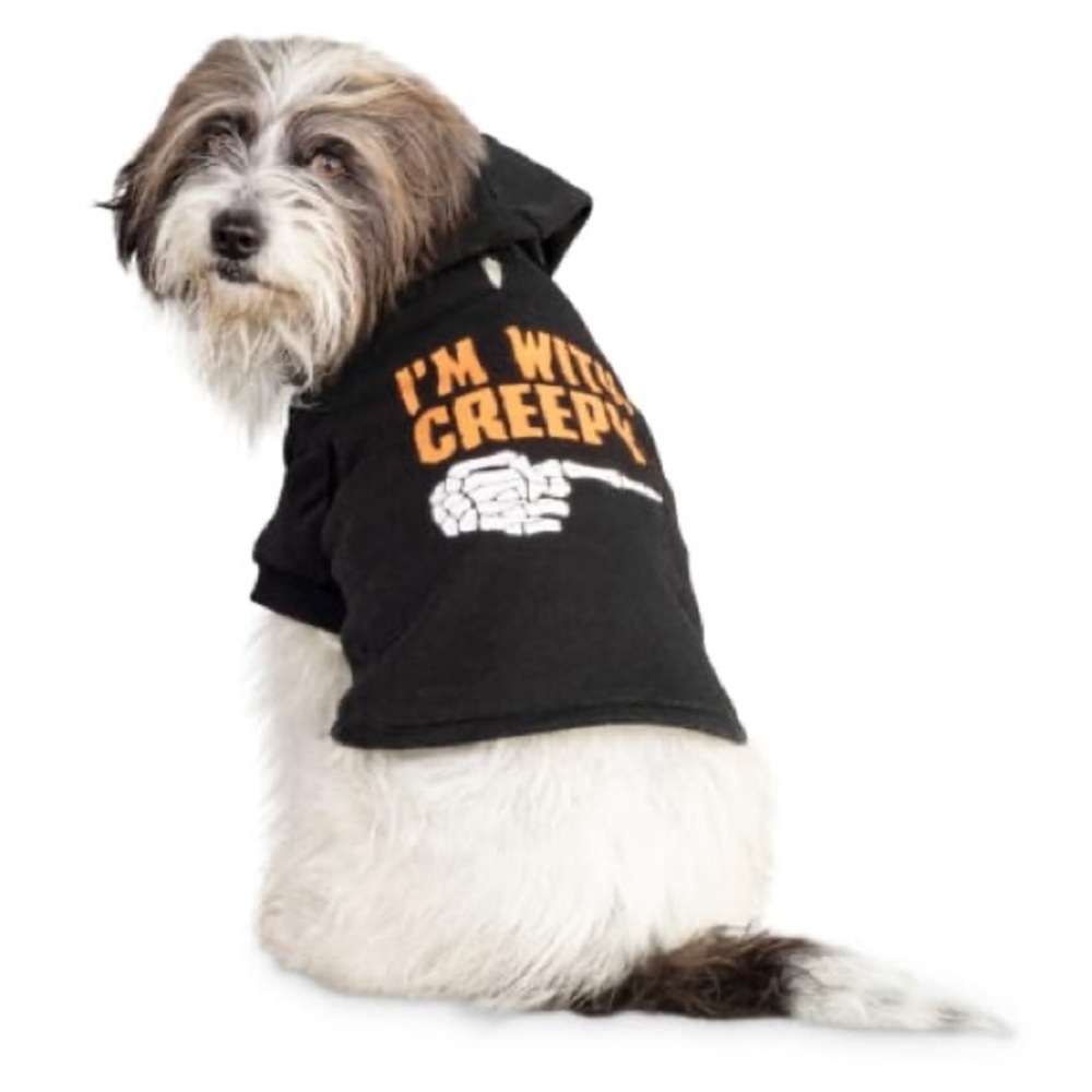 Halloween Dog Hoodie